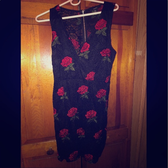 Rose Lace Dress - Picture 1 of 3